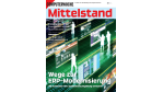 Kostenloser Ratgeber: Wege zur ERP-Modernisierung 