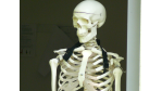 IT-Kosten: Abspecken bis zum Hungertod? - Foto: Pixelio/Christine Schmidt