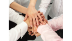 Mitarbeiterbindung: Werte statt Maßnahmen - Foto: Fotolia, Blue-Fox