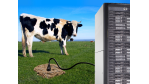 Green IT: Kuhfladen versorgen Data Center mit Energie - Foto: Hewlett-Packard