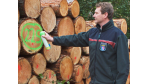 Platz 1 beim Database-Award - Landesbetrieb Hessen-Forst: Lichtung im digitalen Wald