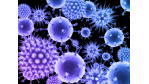Hotel-Virus breitet sich aus: "Sorry, Ihre Kreditkarte wurde belastet…" - Foto: Fotolia.de/Sebastian Kaulitzki 