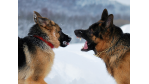 Keine Angst vor der Generation Y: Revierkämpfe in den IT-Abteilungen - Foto: Fotolia.com/Liana