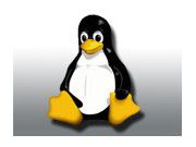 Linux-Versionen für mehr Security.
