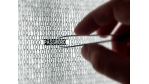 Enterprise Fraud Management: Risiken durch Insider-Betrug abwehren - Foto: pn photo, Fotolia.de
