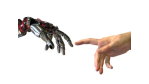 Buch mit Zukunftsmusik: Die Smart Agents kommen - Foto: Fotolia, AlienCat