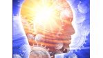 Co-Innovation: Web 2.0 macht den Kunden zum Scout und Entwickler - Foto: Fotolia, Argus