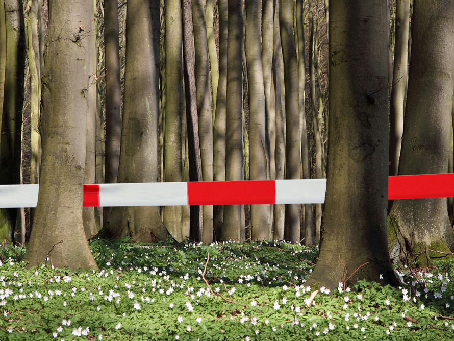 Absperrung_Wald_Fotolia_4zu3