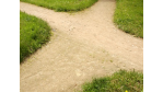 Führungskräfte am Scheideweg: Tipps zur Laufbahnplanung - Foto: Fotolia, Steinkopie