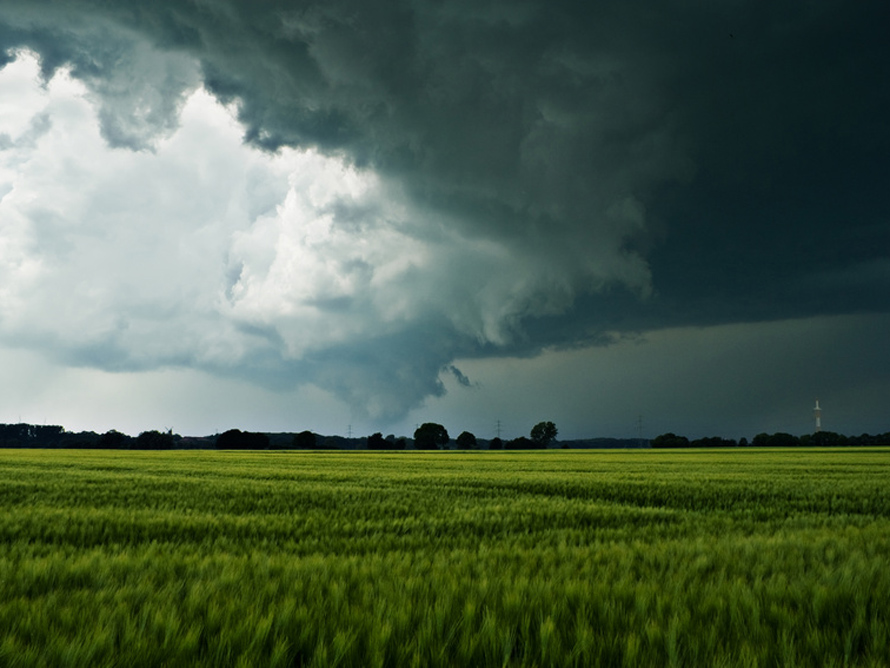 Leider hat auch Cloud eine Kehrseite.