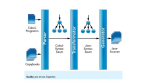 Amadeus migriert BS200 auf Unix: Wege aus der Legacy-Falle - Foto: pro et con, Experton