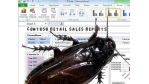 Business Intelligence: Vor Excel kapituliert