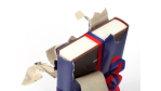 Weihnachten 2011: Unsere Buchtipps zum Fest - Foto: Klaus Eppele - Fotolia.com