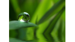 Ziele setzen und erreichen: Mit mentaler Kraft ins Neue Jahr - Foto: Stefan Körber/Fotolia.com