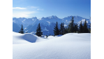 Weihnachten und Silvester 2011: Was IT-Chefs zwischen den Jahren machen - Foto: Netzer Johannes - Fotolia.com