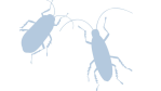 Mobile Security: Vielfalt ohne Ende