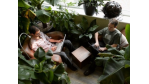 Schreibtischkultur: My Büro is my Castle - Foto: Google