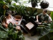 Jede Menge Grünpflanzen: Eines der Büros von Google in Zürich.