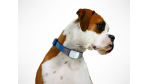Gadget des Tages: Tagg Pettracker von Snaptracks - Haustiere per GPS orten - Foto: Snaptracks