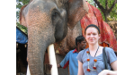 Zwischen Indien und Norderstedt: Arbeiten als Berater - Foto: Accenture