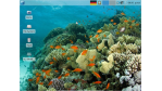 Im Zeichen Ubuntus: Linux-Wochenrückblick