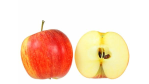 "Inside Apple": Die nicht so feinen Erfolgsmethoden des Steve Jobs - Foto: Abe Mossop - Fotolia.com