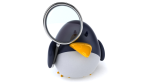 Ubuntu, openSUSE, Fedora & Co.: Empfehlenswerte Linux-Distributionen für Desktops - Foto: fotolia.com/julien tromeur