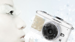 Kaufberatung: Digitalkamera und Camcorder für jeden Anspruch - Foto: Olympus