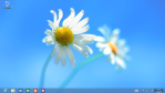 Microsoft: Windows 8 bis jetzt 40 Millionen Mal verkauft