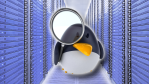 Ubuntu, Red Hat, Debian im Business: Linux-Server im Vergleich - Foto: fotolia.com/julien tromeur; Strato