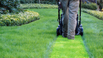 Trovarit-Studie: So lassen sich ERP-Systeme auf Vordermann bringen - Foto: fotolia.com/Horticulture