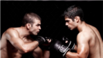 Der lange Weg zum Komplettanbieter: Kampf der IT-Titanen - Foto: Nicholas Piccillo - Fotolia.