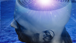 Programmiersprachen in der Praxis: 7 Vorurteile gegen Cobol - Foto: rolffimages, Fotolia.com
