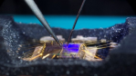 Security by Design: Lieber sicher entwickeln als flicken - Foto: Fraunhofer AISEC
