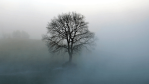 Reicht eine Firewall? Sind wir Ziel?: Zwölf Security-Mythen entlarvt - Foto: Roland Vogler - Fotolia.com