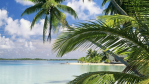 Strand, Sonne, Palmen: 80 Sommer-Wallpaper