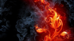 FAQ Firewalls: Halten Sie Ihr Netz dicht! - Foto: Fotolia, Misha