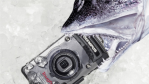 Fotografie: Kamera baden gegangen – was tun? - Foto: Olympus