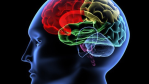 Brain, Loveletter, Sasser, Conficker, Stuxnet: Die Geschichte der digitalen Welt in 20 Viren - Foto: V. Yakobchuk_Fotolia