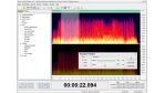 Audio-Tool: AVS Audio Editor