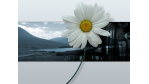 Wallpaper-Special: 59 wunderschöne Desktop-Hintergründe - Foto: http://www.ewallpapers.eu