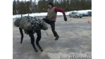 Zukunftstechnik: Behalten Sie diese 10 Technik-Projekte im Auge - Foto: Boston Dynamics