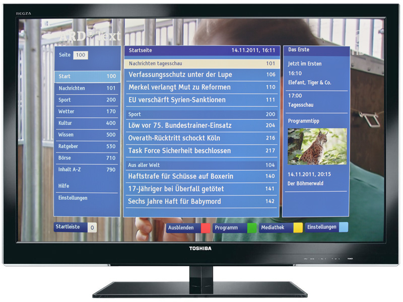 Ab ins Netz - mit mobile TV und interaktivem Fernsehen. 