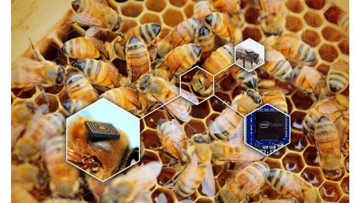 beehive with Intel Edison sensors