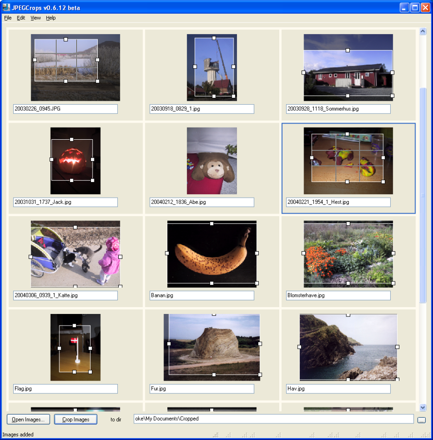 Bilder verlustfrei beschneiden: Das Freeware-Tool JPEGCrops bietet für diese Aufgabe eine intuitive Oberfläche samt Vorschauansicht.