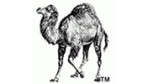 Perl 5.8.0 ist verfügbar