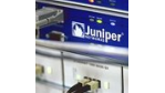 Juniper wildert in Ciscos Revieren