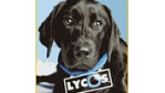 Lycos Europe macht deutliche Fortschritte