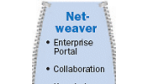 SAP öffnet sich .NET und Websphere