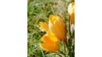 Knowledge-Management im zweiten Frühling